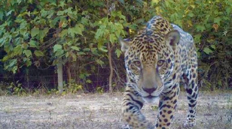 EG_fyrbqtupiphf5brsbemzx3tlqntiutqar9hmq4lj2oghcuoa_large