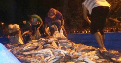 apreensao-pescado-lago-grande