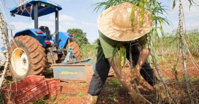 destaque-432150-ibge