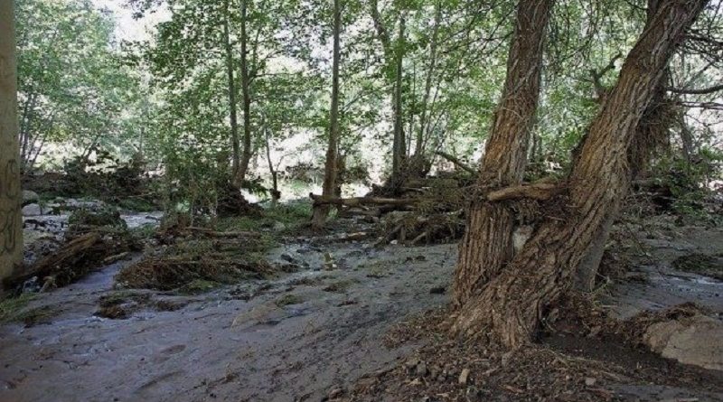 destaque-433853-17197185