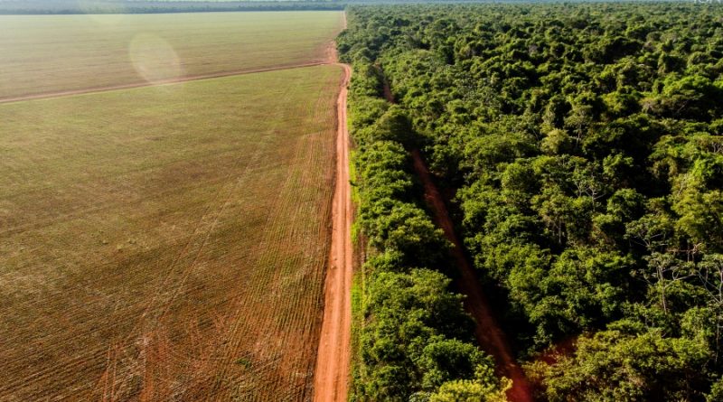 fundiaria legalização