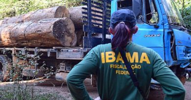 ibama novo progresso 1