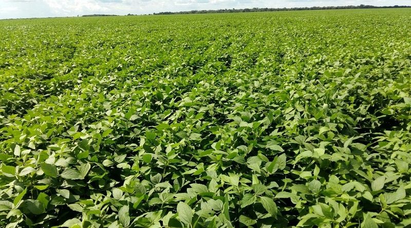 whatsapp-image-2017-07-21-at-11.18.15