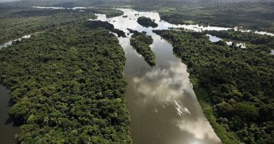 97503512gettyimages-146395645