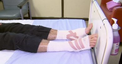 australia-sea-creatur-fran