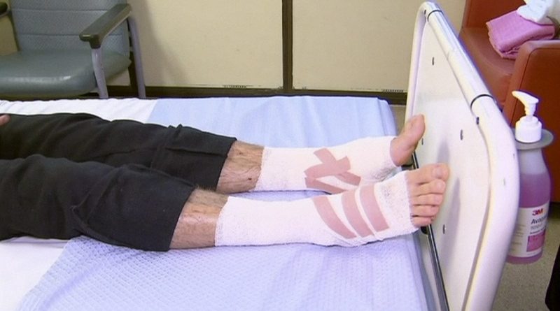 australia-sea-creatur-fran