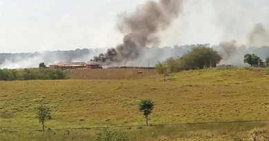 destaque-442714-fazenda