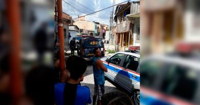 destaque-444073-cachorro