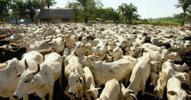 e8a34d5a-9219-4fd7-841c-cc79b3657c32