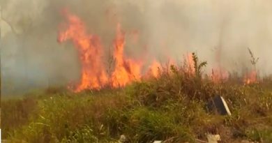 fogo queimadas novo progresso