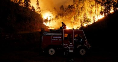 Firefighters work to put out a forest fire near Bouca, in central Portugal, June 18, 2017.  REUTERS/Rafael Marchante     TPX IMAGES OF THE DAY - RTS17J5O