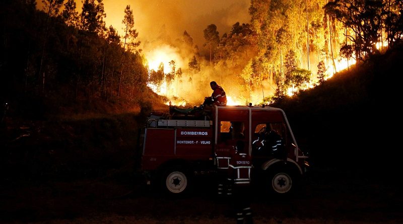 Firefighters work to put out a forest fire near Bouca, in central Portugal, June 18, 2017. REUTERS/Rafael Marchante TPX IMAGES OF THE DAY - RTS17J5O
