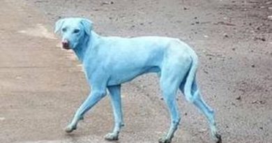 rio-estava-com-poluicao-16-vezes-acima-do-normal_dWvf5zk