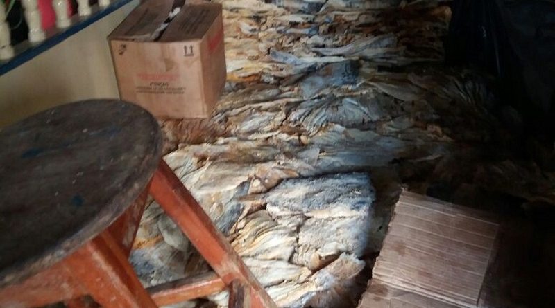 whatsapp-image-2017-08-26-at-09.59.49