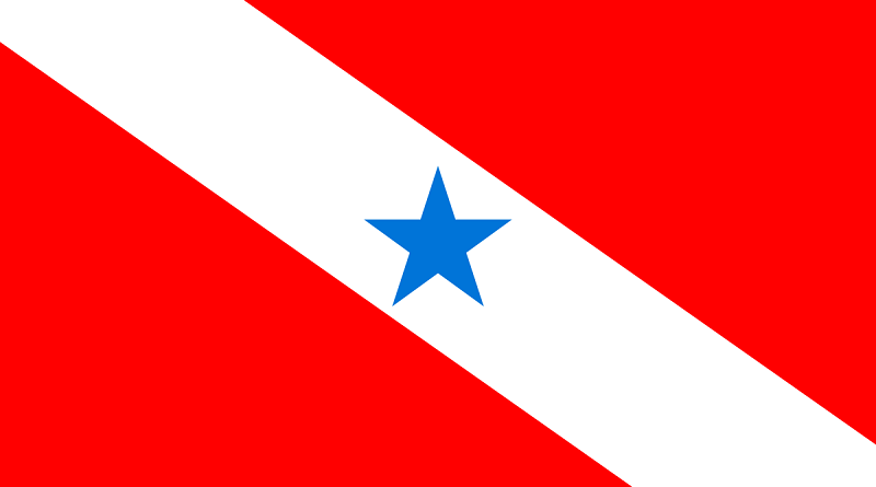 1200px-Bandeira_do_Pará.svg
