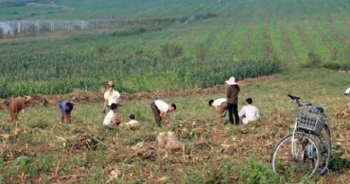 20170928211053665448u