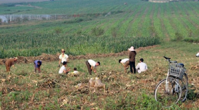 20170928211053665448u