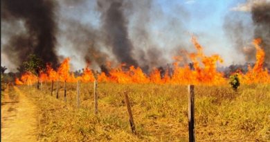 Captura-de-Tela-2017-07-17