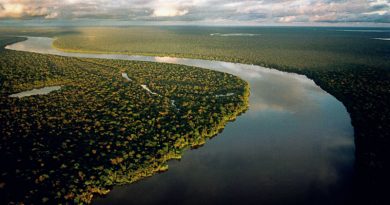 Río Purus, afluente de la margen derecha del río Amazonas, Brasil.
© Paulo Santos/2001
CRÉDITO OBRIGATÓRIO
USO EXCLUSIVO PARA DIVULGAÇÃO DA OBRA "AMAZONÍA BAJO PRESIÓN". PARA OUTROS USOS,
CONSULTE O FOTÓGRAFO PAULO SANTOS.
paulosantos@interfoto.com.br
91 81670855 / 32228532 / 87085130