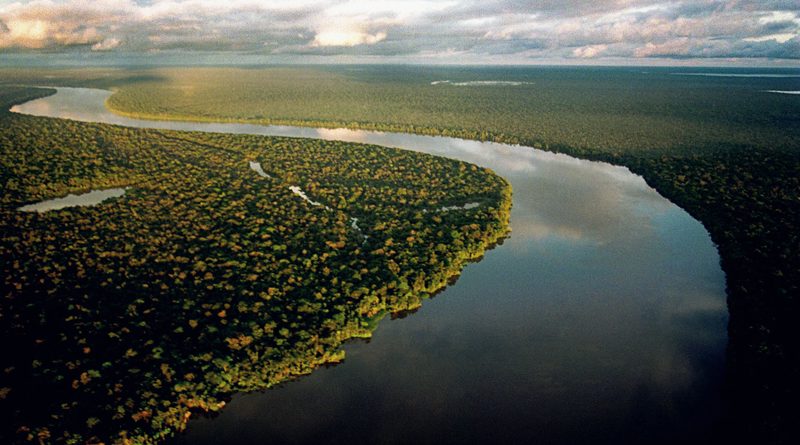 Río Purus, afluente de la margen derecha del río Amazonas, Brasil.
© Paulo Santos/2001
CRÉDITO OBRIGATÓRIO
USO EXCLUSIVO PARA DIVULGAÇÃO DA OBRA "AMAZONÍA BAJO PRESIÓN". PARA OUTROS USOS,
CONSULTE O FOTÓGRAFO PAULO SANTOS.
paulosantos@interfoto.com.br
91 81670855 / 32228532 / 87085130