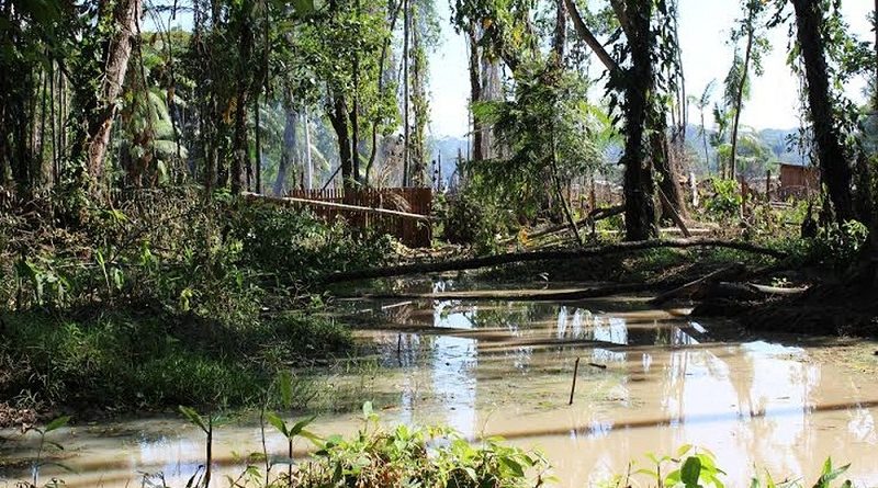 desmatamento_maica_2