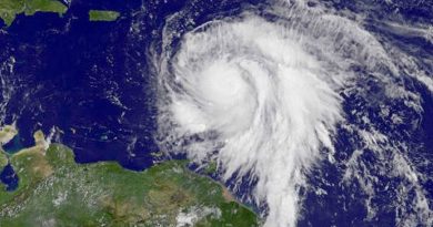 destaque-451711-image_1-_maria-goes-91817