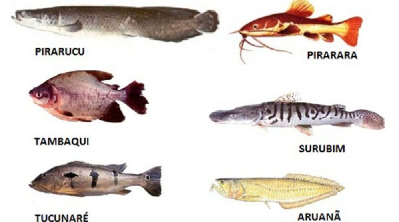 eeeaa52fa6ac59a5f753a419bedf334b