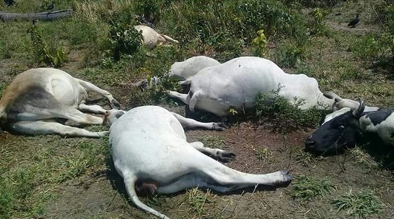 whatsapp-image-2017-08-31-at-16.02.04