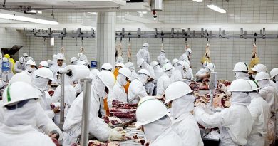 Frigorifico-bovino-carne-de-gado-20-ass