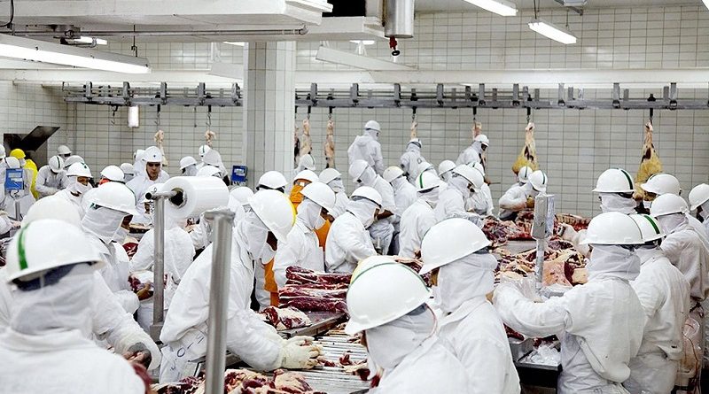 Frigorifico-bovino-carne-de-gado-20-ass