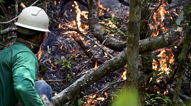 PauloBrandoFogo2016-115