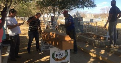 destaque-456738-image