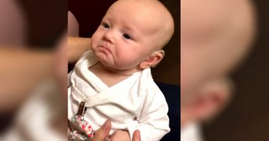 destaque-459810-bebe