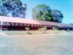 Colégio Sagrado Coração de Jesus- Fordlandia