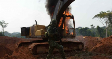 ibama-DESTRUIÇÃO-800x445