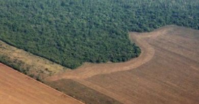 images_cms-image-000565556