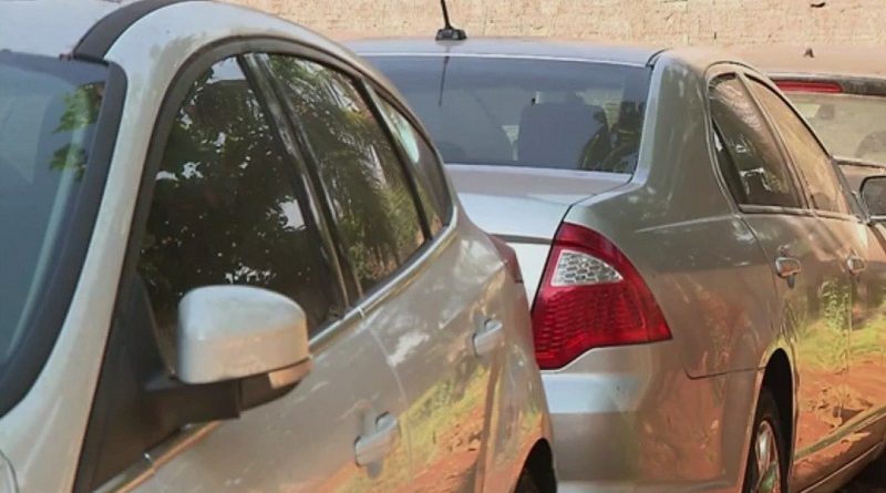 leilao_cabeca_branca