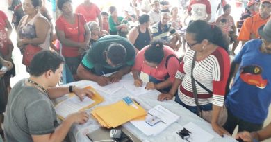 peaex curumucuri juruti 3