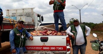 Uma equipe da Agência de Defesa Agropecuária do Pará (Adepará), da regional de Tucuruí, apreendeu na tarde desta terça-feira (3), no município de Novo Repartimento, 1.286 kg de polpas de frutas (foto) que estavam transitando de forma ilegal no município. Segundo os técnicos da agência, não havia registro e nem acondicionamento correto do produto. Após a apreensão, a carga foi destruída no local.

FOTO: ASCOM / ADEPARÁ
DATA: 03.10.2017
NOVO REPARTIMENTO - PARÁ