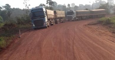 ponte tranzamasonica