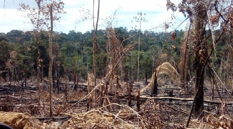 whatsapp_image_2017-10-24_at_17