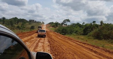 br 163 estraderio 2017