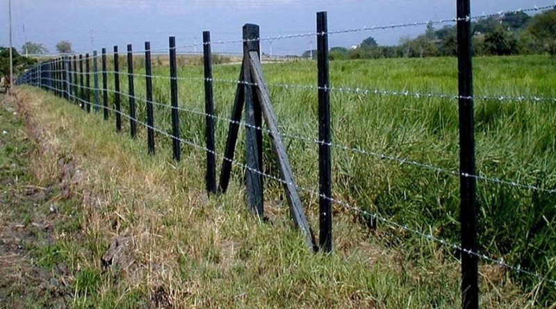 cerca arame farpado