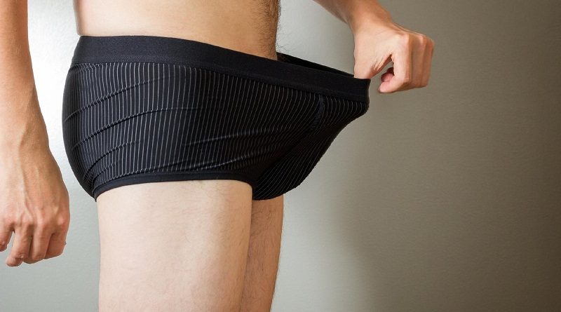 penis-cueca-