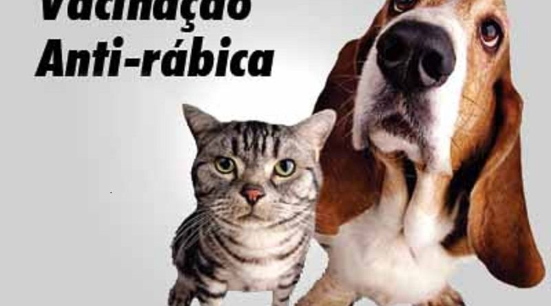 vacina_anti_rabica