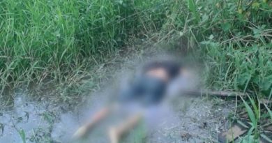 destaque-475333-dsse