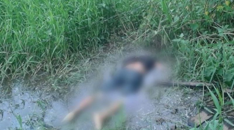 destaque-475333-dsse