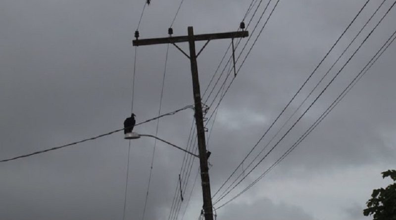 DENUNCIA-ILUMINAÇÃO-4-e1515668443849