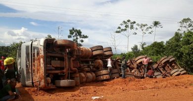 caminhao br transamaz