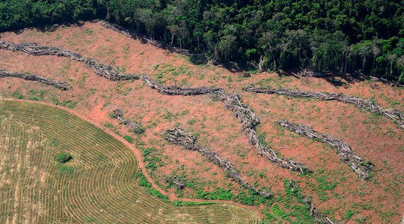 Desmatamento em região próxima ao local onde os deputados decidiram reduzir a área de proteção, em Novo Progresso, Pará. Foto: Vinícius Mendonça/Ibama.